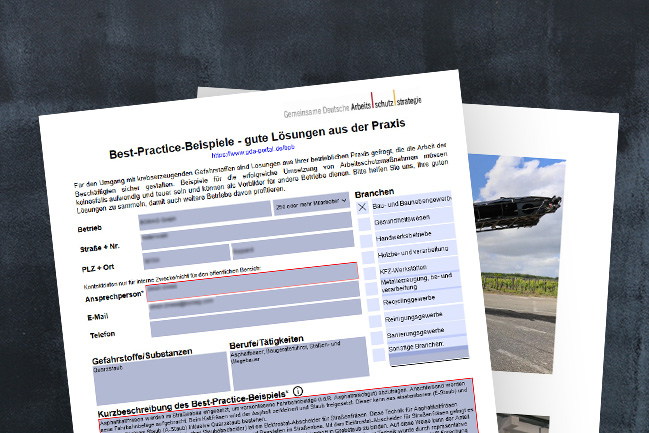 Ausgefüllter Best-Practice-Bogen Ausgefüllter Best-Practice-Bogen