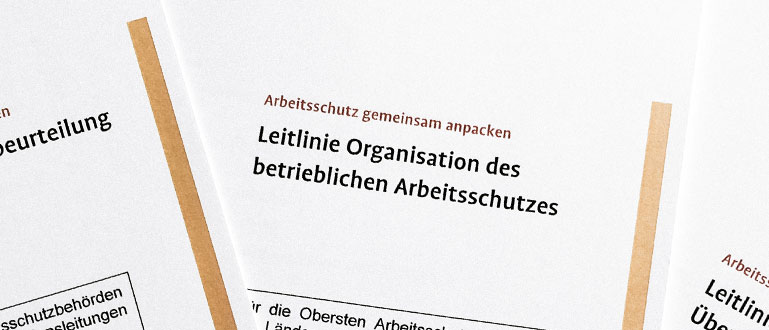 Leitlinie Organisation